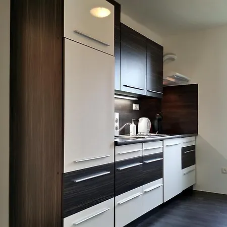 Apartment U Labe